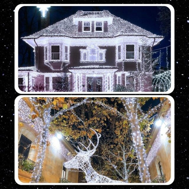 EXTRALINK LAMPKI CHOINKOWE 100 LED BIAŁE ZIMNE ZEWNĘTRZNE WEWNĘTRZNE NA BATERIE 10M - imagine 4