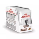 ROYAL CANIN Gastrointestinal - wet cat food - 12 x 85g