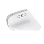 Trust Bayo+ mouse Office Right-hand RF Wireless + Bluetooth Optical 2400 DPI - imagine 5