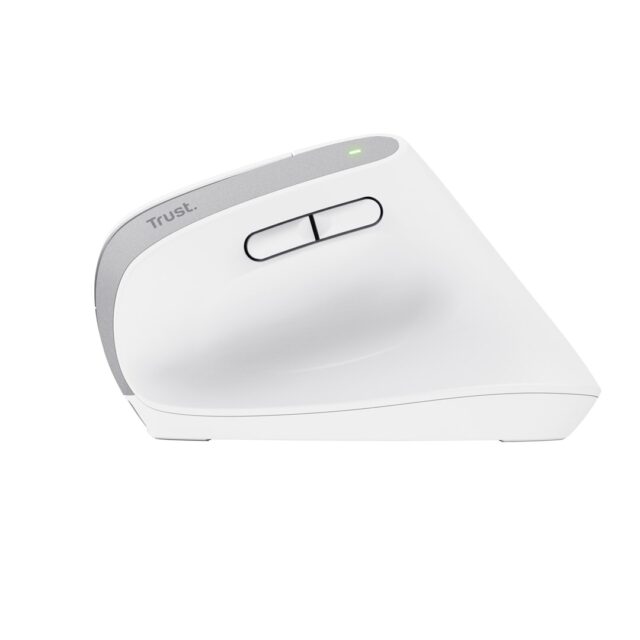 Trust Bayo+ mouse Office Right-hand RF Wireless + Bluetooth Optical 2400 DPI - imagine 5