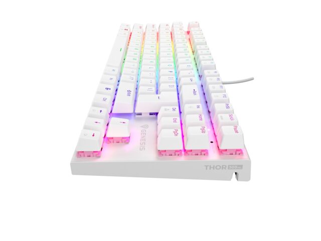 THOR 303 | Mechanical Gaming Keyboard | Wired | US | White | USB Type-A | Outemu Peach Silent - imagine 2