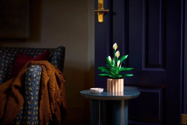 LEGO BOTANICALS 11504 Peace Lily - imagine 7