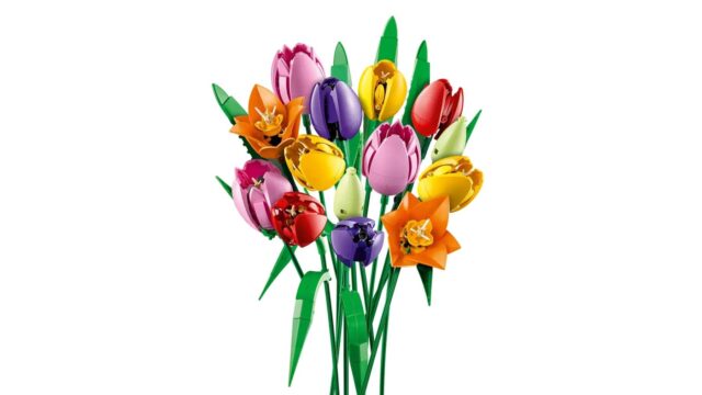 LEGO BOTANICALS 11501 Tulip Bouquet - imagine 11