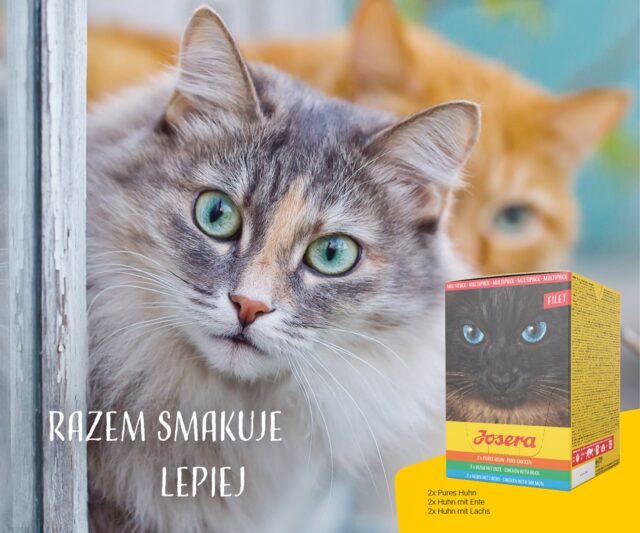 JOSERA Multipack - chicken  duck  salmon - 6x70 g - imagine 5