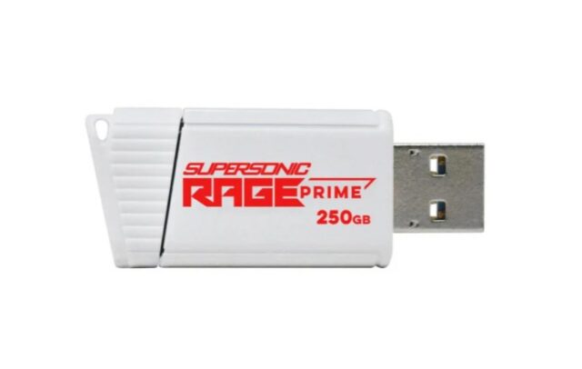 Patriot Rage Prime 600 MB/S 256 GB USB 3.2 8K IOPS - imagine 3