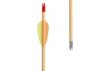 Poe Lang Target Wooden 30  D-027A-B1 Wooden arrows 5 pcs - imagine 3