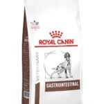ROYAL CANIN Gastrointestinal - dry dog food - 15 kg