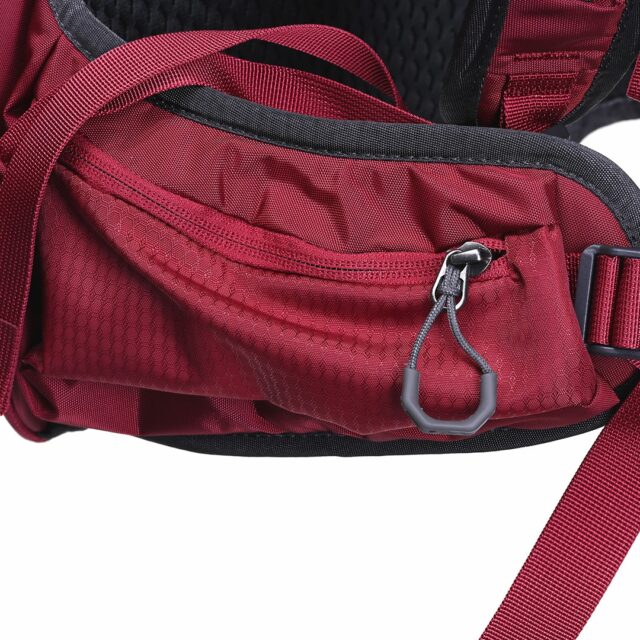 Gregory Jade 20 LT Women's trekking backpack - Red - imagine 18