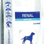 Royal Canin Renal Special - dry dog food - 2 kg