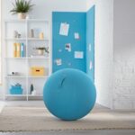 Leitz Ergo Cosy Active Sitting Ball - imagine 10