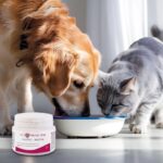 JM SANTE Vet Protector Gastro - Biotyk - multibiotic for dogs and cats – 60 g - imagine 2