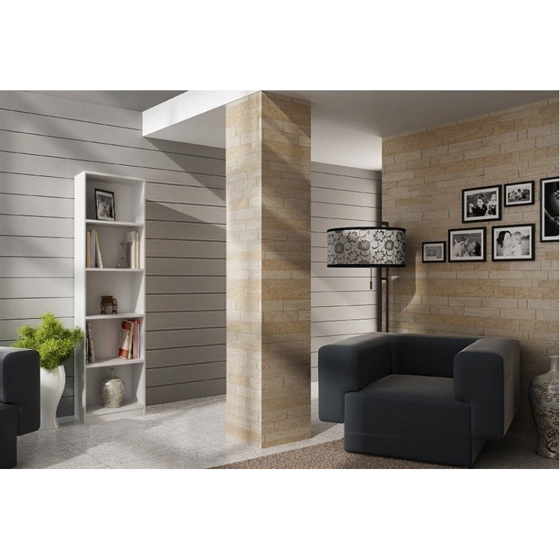 cps-3ff1b221070c7458f915137746aa1a35-2026-01-15-11-10-14 Topeshop R40 BIEL office bookcase - imagine 1