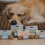 Paka Zwierzaka Pepe Vet Kość Funkcjonalna dla wrażliwych psów 42g - imagine 2