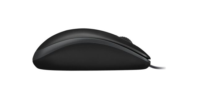 Logitech Desktop MK120 - imagine 5