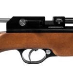 Diana PCP Stormrider 5.5 mm Ek < 17J air rifle