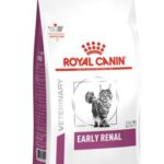 ROYAL CANIN Cat Early Renal VHN - dry cat food - 400g