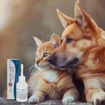 JM SANTE Vet Protector Uszy Plus - ear solution for dogs and cats – 50 ml - imagine 3