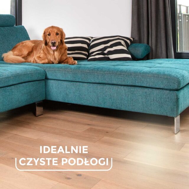 Refill for Vileda Always Clean PET PRO brush - imagine 8