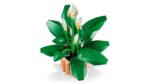 LEGO BOTANICALS 11504 Peace Lily - imagine 11
