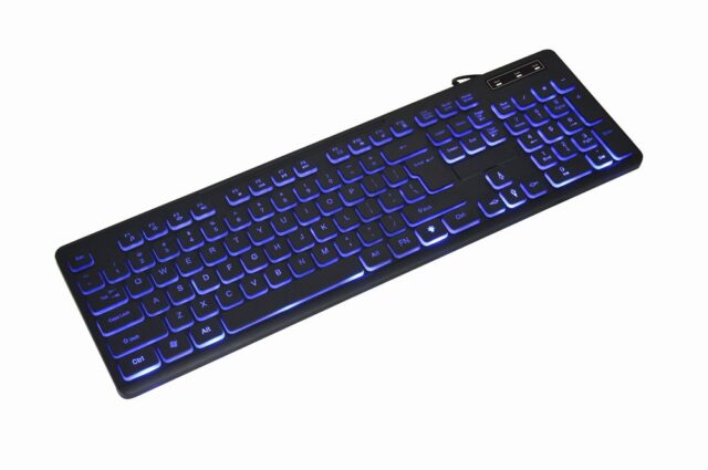 Gembird KB-UML3-02 keyboard Home/Office USB QWERTY US English Black - imagine 2
