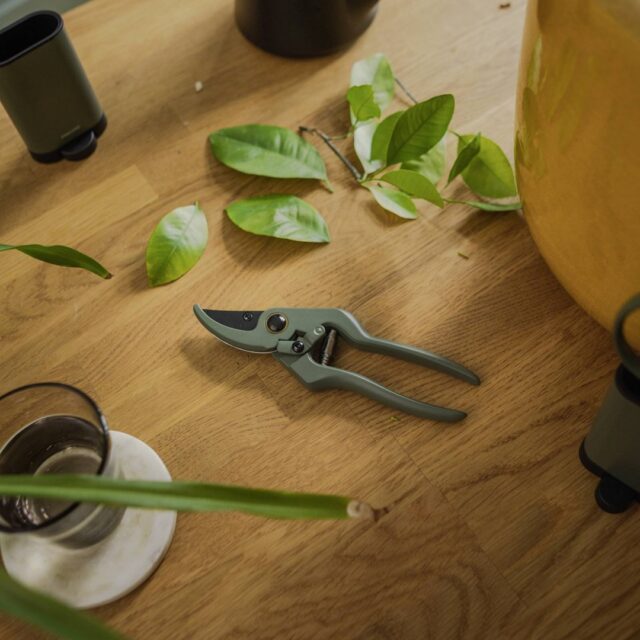 Plant Care Set for Plants 3 pcs - imagine 3