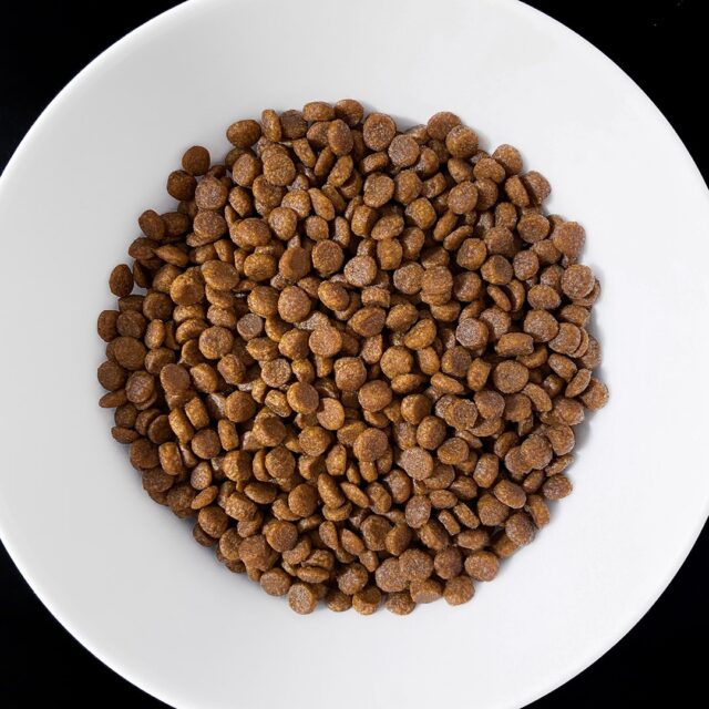 VET RESPONSE GASTROINTESTINAL dla kota 1 6 kg - imagine 4