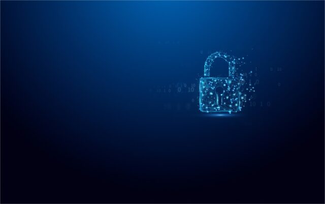 Kingston Technology IronKey 32GB Vault Privacy 50 AES-256 Encrypted  FIPS 197 - imagine 5