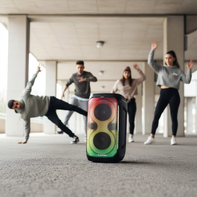 System audio BLAUPUNKT PB60X - imagine 7