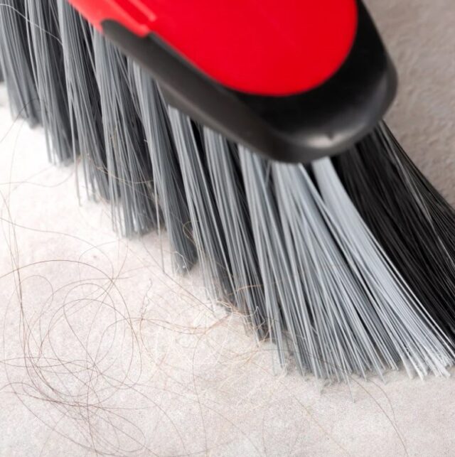 Universal Broom Vileda Classica 2-in-1 - imagine 10