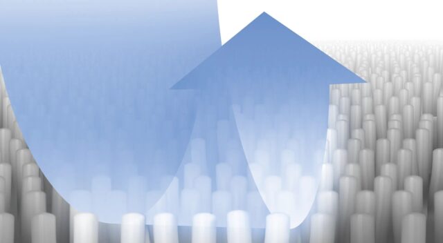 Bosch BBZWDSET vacuum accessory/supply Cleaning solution Cylinder vacuum - imagine 3