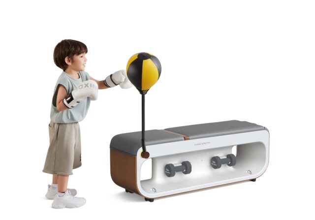 Kingsmith FBB1C multifunctional training bench - imagine 6