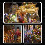 EXTRALINK LAMPKI CHOINKOWE 200 LED MULTIKOLOR ŚWIĄTECZNE SMART WIFI PILOT 10M - imagine 2