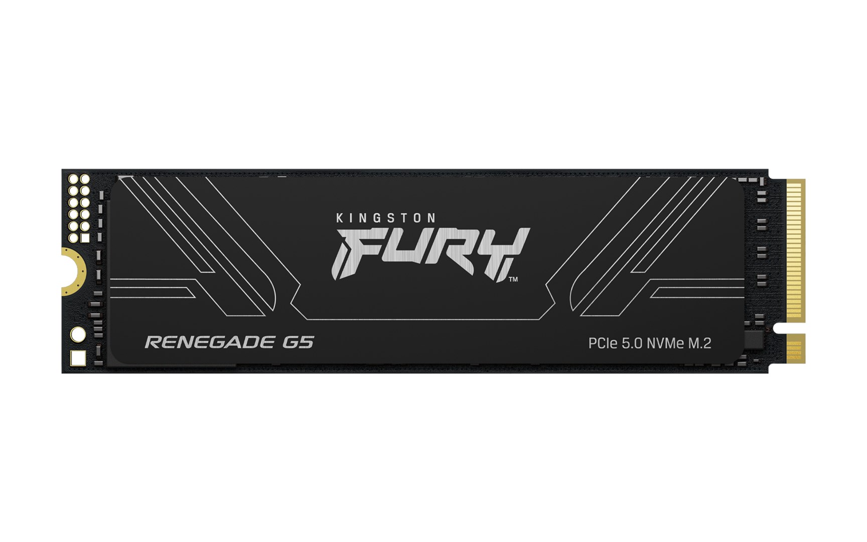 cps-67f7aa5267f954f33e287d8f3686be21-2026-01-23-16-24-07 Kingston Technology 4T FURY RENEGADE G5 M.2 2280 NVMe SSD - imagine 1