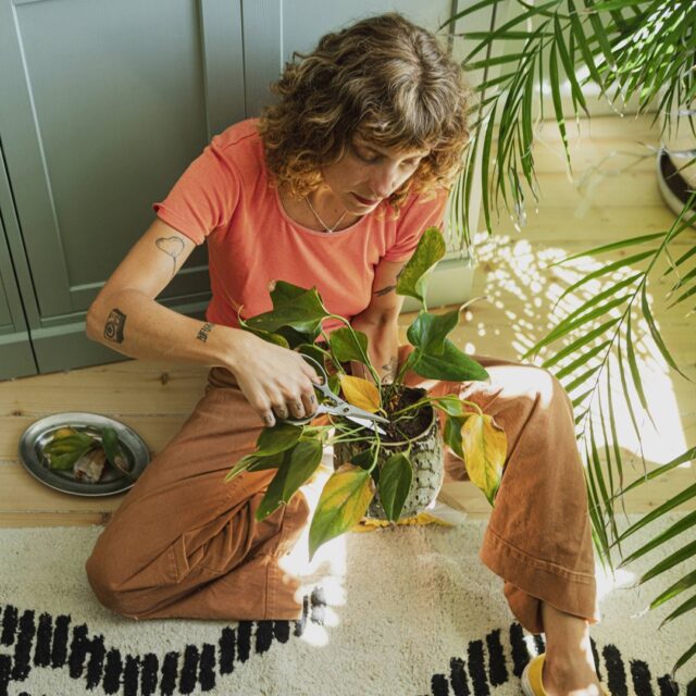 Plant Care Set for Plants 3 pcs - imagine 7