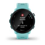Garmin Forerunner 55 2.64 cm (1.04 ) MIP 42 mm Digital 208 x 208 pixels GPS (satellite) - imagine 7