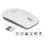 Esperanza EM120W mouse RF Wireless Optical 2400 DPI - imagine 2