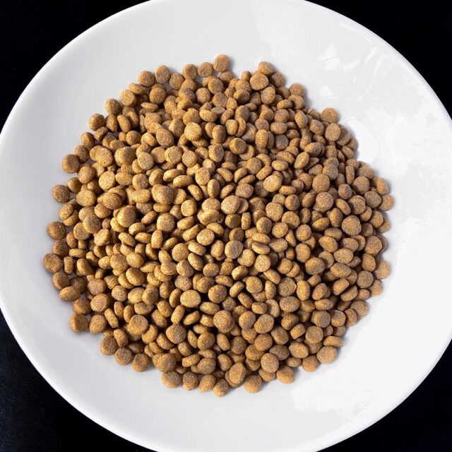 VET RESPONSE WEIGHT-BALANCE dla kota 1 6 kg - imagine 4