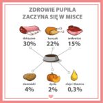 PUPIL PREMIUM Dziczyzna karma mokra dla psa 800g