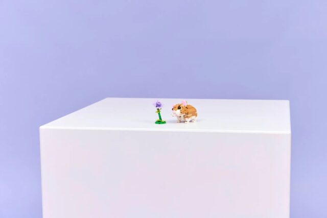 LEGO CREATOR 3 IN 1 31376 Cute Hamster with a Flower - imagine 9