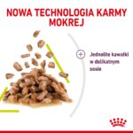 Karma Royal Canin Sensory Feel gravy 12x85g - imagine 5