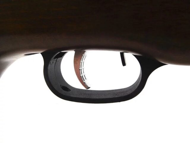 Air Rifle BEEMAN USA GRIZZLY X2 m.1073GP GAS RAM k.4 5/5 5 mm - imagine 7