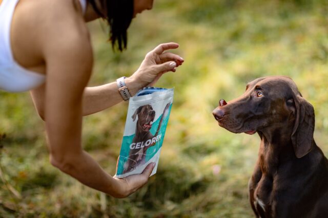 GELOREN Large dog Joints - dog vitamins - 420g - imagine 5