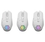 MOUSE DEFENDER GM-514 GLORY OPTIC RF RGB 3200dpi 7P WHITE - imagine 3