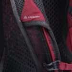 Gregory Jade 20 LT Women's trekking backpack - Red - imagine 16