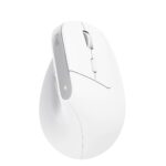 Trust Bayo+ mouse Office Right-hand RF Wireless + Bluetooth Optical 2400 DPI - imagine 3