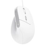 Trust Bayo II mouse Office Right-hand USB Type-A Optical 2400 DPI - imagine 3