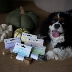 Paka Zwierzaka Pepe Vet Kość Funkcjonalna zdrowe stawy 70g - imagine 2