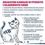 TEO bogata w wołowinę Karma sucha dla psa 850g - imagine 3