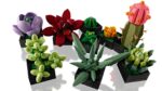 LEGO ICONS 10309 SUCCULENTS - imagine 5
