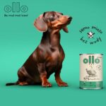 OLLO Umami Goose and turkey - wet dog food - 850g - imagine 2